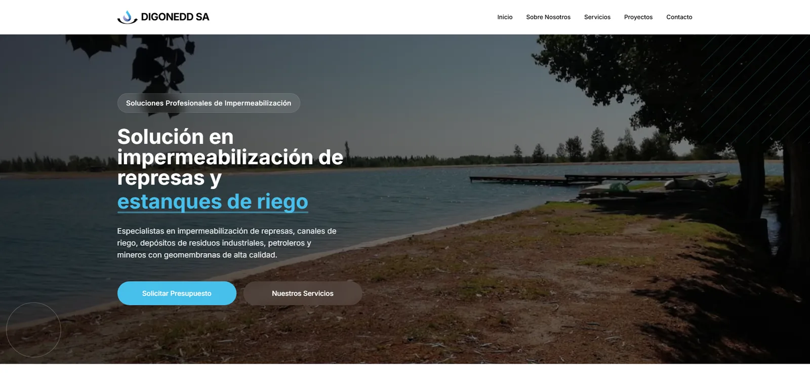 Captura del sitio DIGONEDD SA